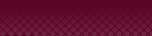 Core Burgundy Page Header 1036x250