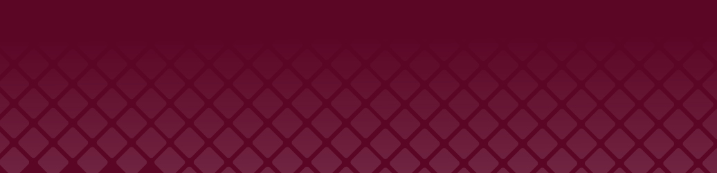 Core Burgundy Page Header 1036x250